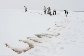 Yabani Hayvanlar İçin Doğaya Yiyecek Bıraktılar