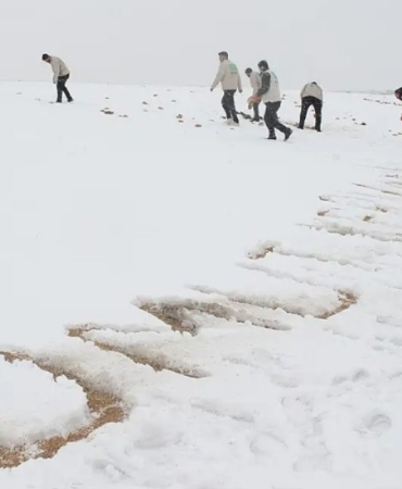 Yabani hayvanlar İçin doğaya yiyecek bıraktılar