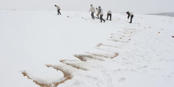 Yabani Hayvanlar İçin Doğaya Yiyecek Bıraktılar