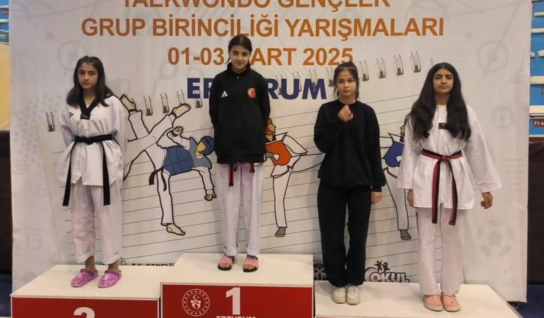 Berfin işık taekwondo'da türkiye Üçüncüsü oldu
