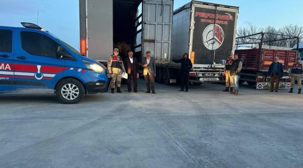 Ağrı'dan Çalınan 300 Koyun Bitlis'te Bulundu