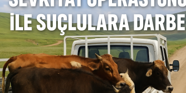 Ağrı kaçak hayvan sevkiyat operasyonu ile suçlulara darbe