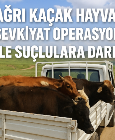 Ağrı kaçak hayvan sevkiyat operasyonu ile suçlulara darbe