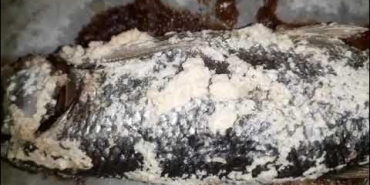 Erciş balığı: doğubayazıt'ta taze lezzet