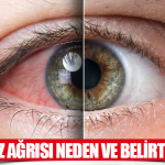 Ağrı göz sağlığı: ambliyopi farkındalığı projesi - diyadin haber Ağrı göz sağlığı: ambliyopi farkındalığı projesi