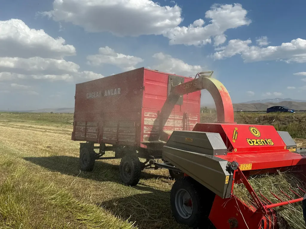 Ağrı Hasat Sezonu Çiftçiler Yoğun Çalışıyor