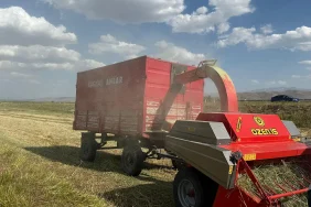 Ağrı Hasat Sezonu Çiftçiler Yoğun Çalışıyor