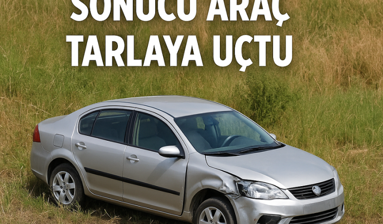 Tutak trafik kazası sonucu araç tarlaya uçtu