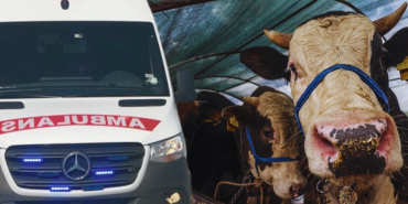 Kurban bayramı: ağrı'nın tutak İlçesindeki gelenekler