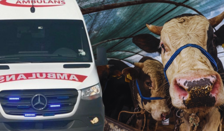 Kurban bayramı: ağrı'nın tutak İlçesindeki gelenekler