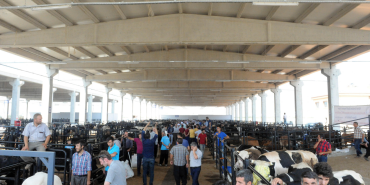 Ağrı kurban kesim yerleri denetimden geçti