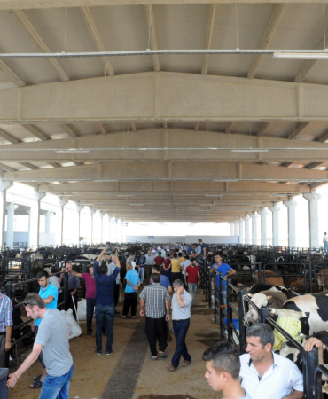 Ağrı kurban kesim yerleri denetimden geçti