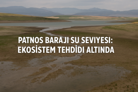Patnos Barajı Su Seviyesi Ekosistem Tehdidi Altında