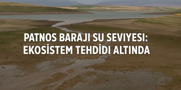 Patnos barajı su seviyesi ekosistem tehdidi altında