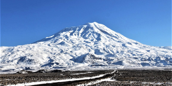 Ağrı Dağı'nın Eteklerinde Özel Bir Bahçe Ziyareti
