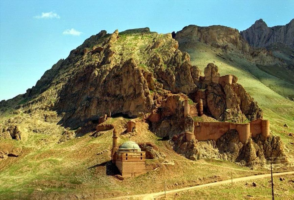Doğubayazıt Ağaçları İçin Sahip Çıkma Çağrısı