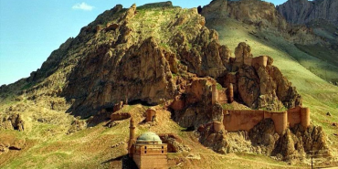 Doğubayazıt ağaçları İçin sahip Çıkma Çağrısı