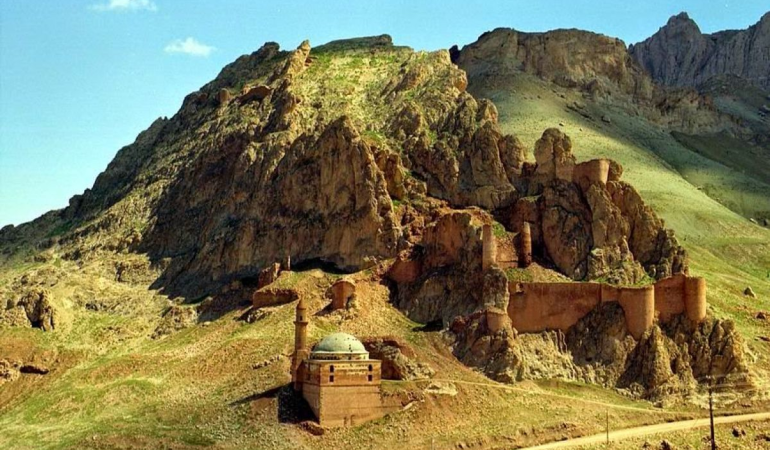 Doğubayazıt ağaçları İçin sahip Çıkma Çağrısı