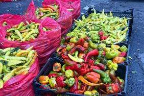 Ağrı Kış Hazırlıkları Erken Alımlar Artıyor