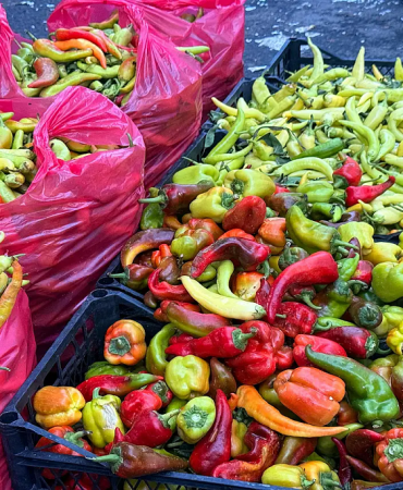 Ağrı kış hazırlıkları erken alımlar artıyor