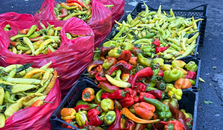 Ağrı kış hazırlıkları erken alımlar artıyor