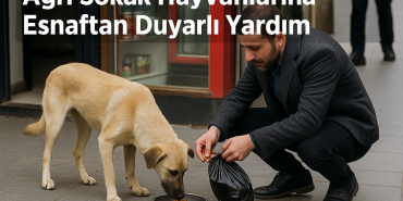 Ağrı sokak hayvanlarına esnaftan duyarlı yardım