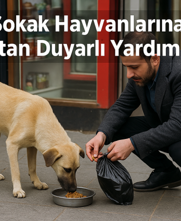 Ağrı sokak hayvanlarına esnaftan duyarlı yardım