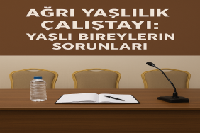 Ağrı Yaşlılık Çalıştayı Yaşlı Bireylerin Sorunları