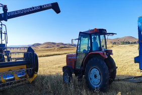Ağrıda Çörek Otu Denemesi Rekor Verimle Sonuçlandı