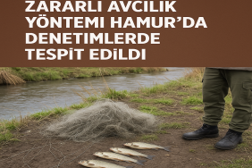 Zararlı Avcılık Yöntemi Hamurda Denetimlerde Tespit Edildi