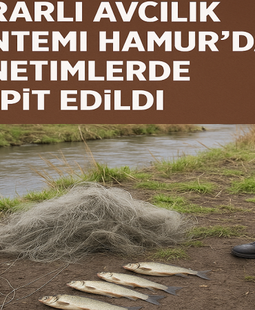 Zararlı avcılık yöntemi hamurda denetimlerde tespit edildi