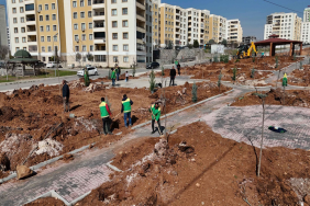 Patnos Yeşil Alan Çalışmaları ile Şehir Güzelleşiyor