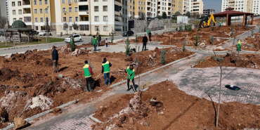 Patnos yeşil alan Çalışmaları ile Şehir güzelleşiyor