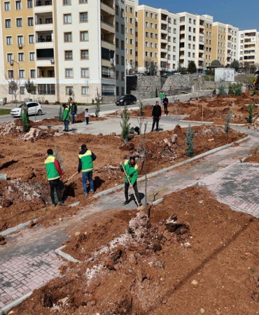 Patnos yeşil alan Çalışmaları ile Şehir güzelleşiyor