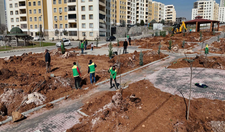 Patnos yeşil alan Çalışmaları ile Şehir güzelleşiyor