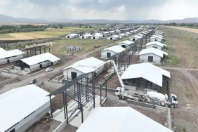 Ağrı Hayvancılık Tesisi Modern Dönüşümü Hızlanıyor