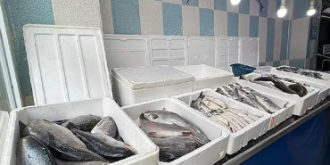 Ağrı Balık Sezonu Taze Ürünlerle Tezgahlar Dolu