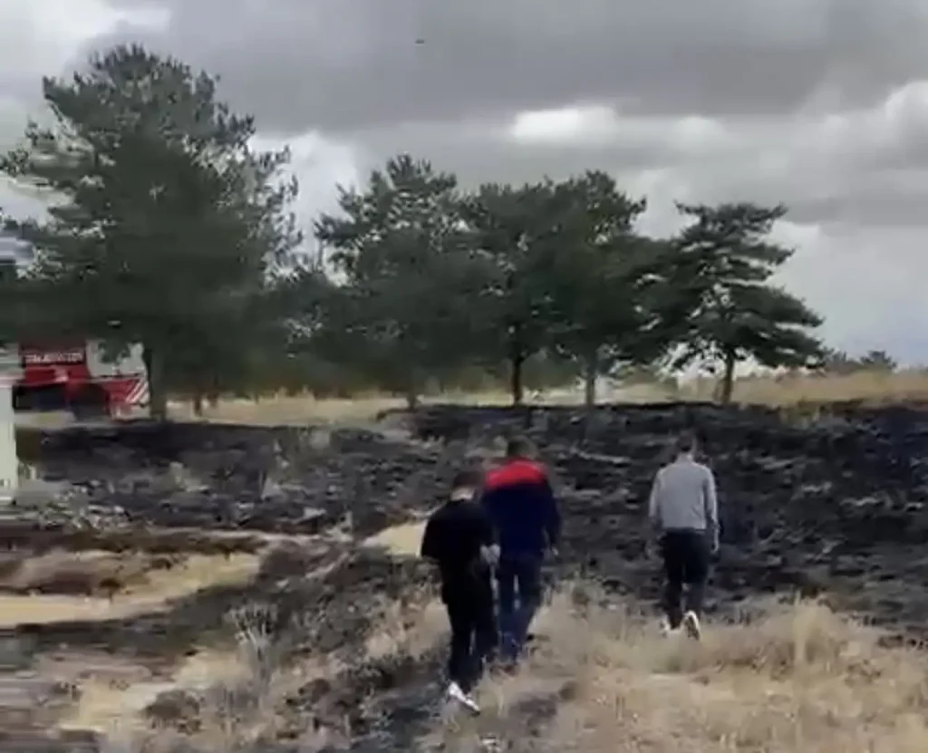 Ağrı Orman Yangını Selahaddin Eyyubi Parkındaki Olay