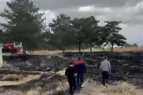 Ağrı Orman Yangını Selahaddin Eyyubi Parkındaki Olay