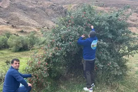 Iğdır Doğal Güzellikleri Bazid Dağcıları Keşfetti