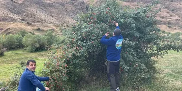 Iğdır Doğal Güzellikleri Bazid Dağcıları Keşfetti