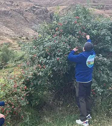Iğdır doğal güzellikleri bazid dağcıları keşfetti
