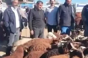 Patnos Canlı Hayvan Borsası Başkan Taşkın Ziyareti