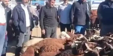 Patnos Canlı Hayvan Borsası Başkan Taşkın Ziyareti