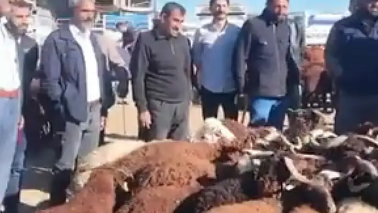 Patnos Canlı Hayvan Borsası Başkan Taşkın Ziyareti