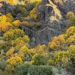 Ağrı-Erzurum Kara Yolu Sonbahar Renklerinin Büyüsü