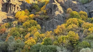 Ağrı-Erzurum Kara Yolu Sonbahar Renklerinin Büyüsü