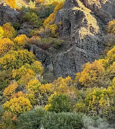 Ağrı-erzurum kara yolu sonbahar renklerinin büyüsü