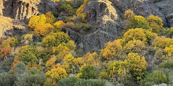 Ağrı-erzurum kara yolu sonbahar renklerinin büyüsü - diyadin haber Ağrı-erzurum kara yolu sonbahar renklerinin büyüsü