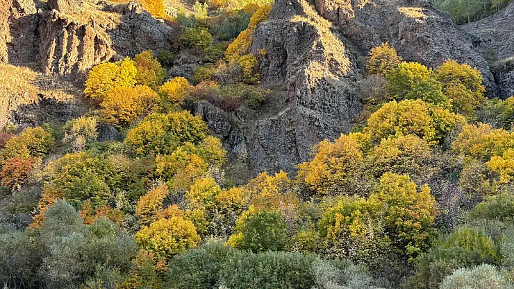 Ağrı-erzurum kara yolu sonbahar renklerinin büyüsü - diyadin haber Ağrı-erzurum kara yolu sonbahar renklerinin büyüsü